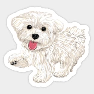 Maru the Maltese Sticker